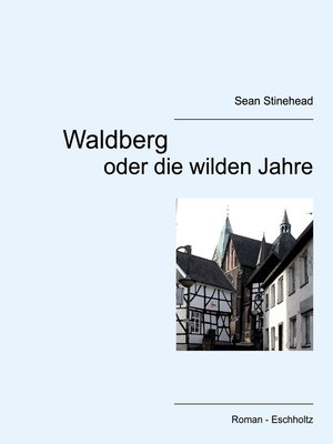 cover image of Waldberg oder die wilden Jahre